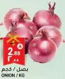 Onion