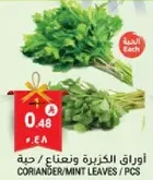 Coriander/Mint Leaves