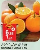 Orange Turkey