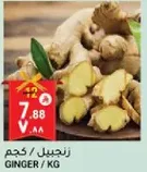 Ginger