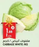 Cabbage White / kg