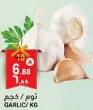 Garlic