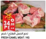 Fresh camel meat sold by kilogram.