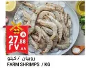 Farm shrimps sold by kilogram.