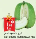 Ash Gourd (Kumbalam)