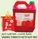 Mamia Tomato Ketchup 5kg