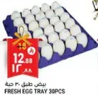 Fresh egg tray 30pcs