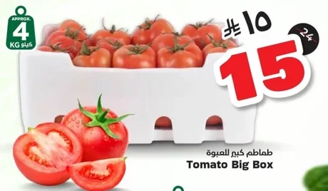 Tomato Big Box