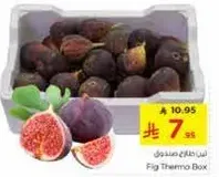 Fig Thermo Box