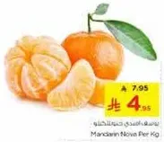 Mandarin Nova Per Kg
