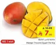 Mango Thoom Egypt Per Kg