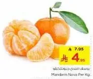 Mandarin Nova Per Kg.