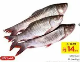 Rohu Fish (Bag)