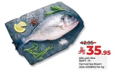 Farmed Sea Bream (Size 400/800) Per Kg