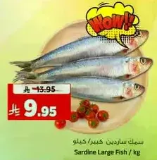 Sardine Large Fish