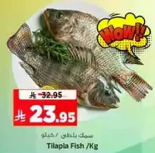 Tilapia Fish /Kg
