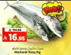 Mackerel Rosy/Kg