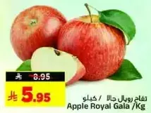 Royal Gala Apples / Kg