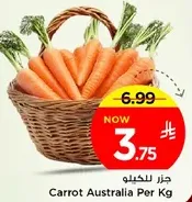 Carrot Australia Per Kg