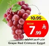 Grape Red Crimson Egypt