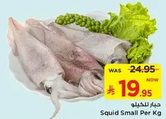 Squid Small Per Kg
