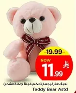 Teddy Bear Astd