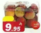 A pack of assorted fresh apples.