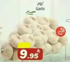 Garlic