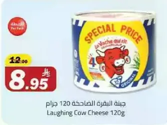 Laughing Cow Cheese 120g