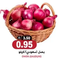 Onion (Saudi) / KG