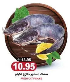 Fresh cat fish per kg.