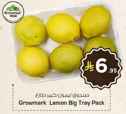 Growmark Lemon Big Tray Pack