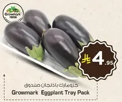 Growmark Eggplant Tray Pack
