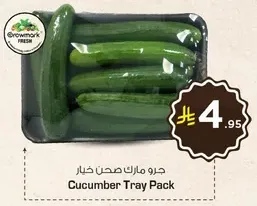 Cucumber Tray Pack