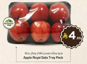Apple Royal Gala Tray Pack