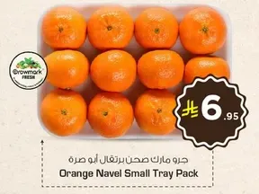 Orange Navel Small Tray Pack