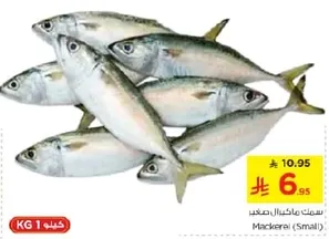 Mackerel (Small)