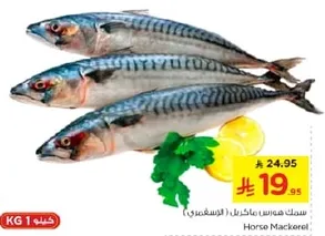 Horse Mackerel