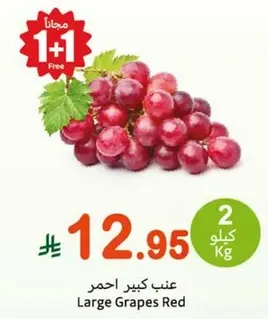 Large Red Grapes