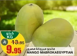 Egyptian Mabroka mangoes.