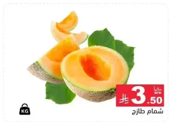 Fresh cantaloupe, sweet and juicy.