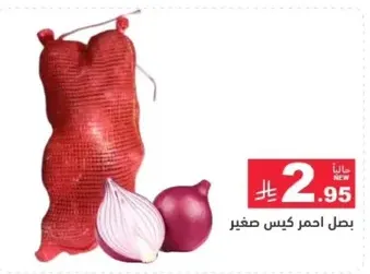 Small bag of red onions.