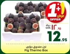 Fig Thermo Box