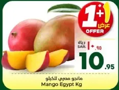 Mango Egypt Kg