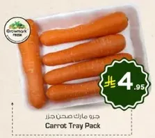 Carrot Tray Pack