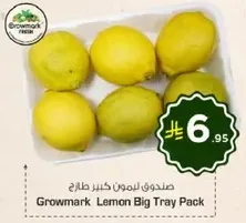 Growmark Lemon Big Tray Pack