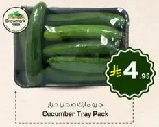 Cucumber Tray Pack