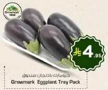 Growmark Eggplant Tray Pack