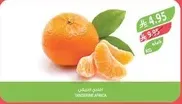 Fresh oranges from Africa.