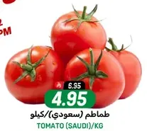 Tomato (Saudi) per kg.